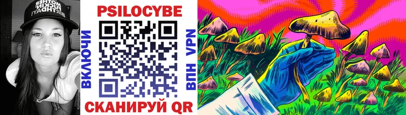 Галлюциногенные грибы Cubensis  купить наркотики цена  Курганинск 
