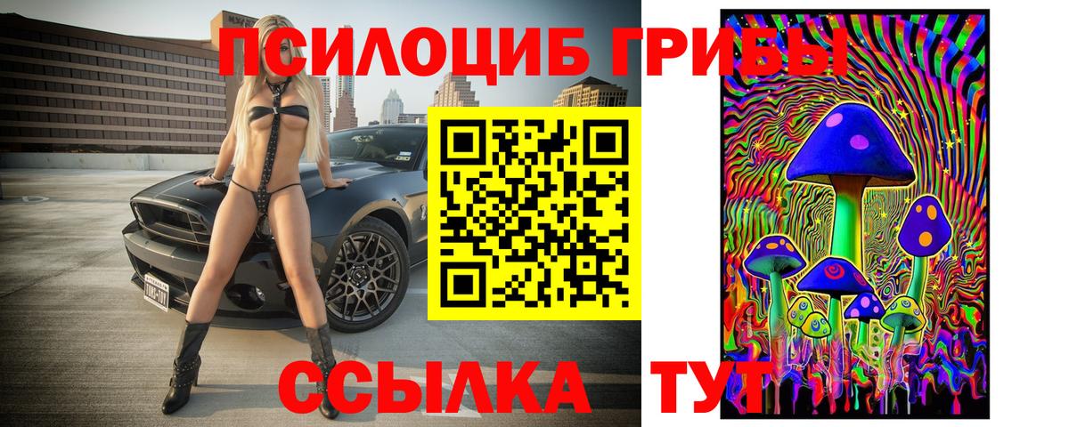 Галлюциногенные грибы ЛСД Курганинск